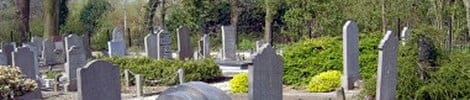 Rustige begraafplaats met grijze grafstenen en groen